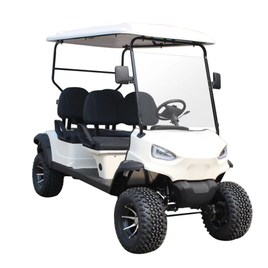 12/14inches Tyre Pmsm 5, 6, 7kw Motor 100/120km Mileage Lead Acid/Lithium Battery 48V/60V/72V 2, 4, 6, 8, 10 Seats/Seater Hunting Golf Cart/Buggy/Car, Club Car