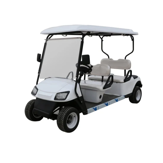 Royal Style 60V Used for Club Utility Small Cart