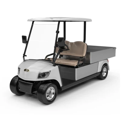 Automotive Elegant Style 48V Battery Operate Utility Vehicle Electric Utility Golf Car with Two Seats for Golf Courses (DG-M2+Cargo box)